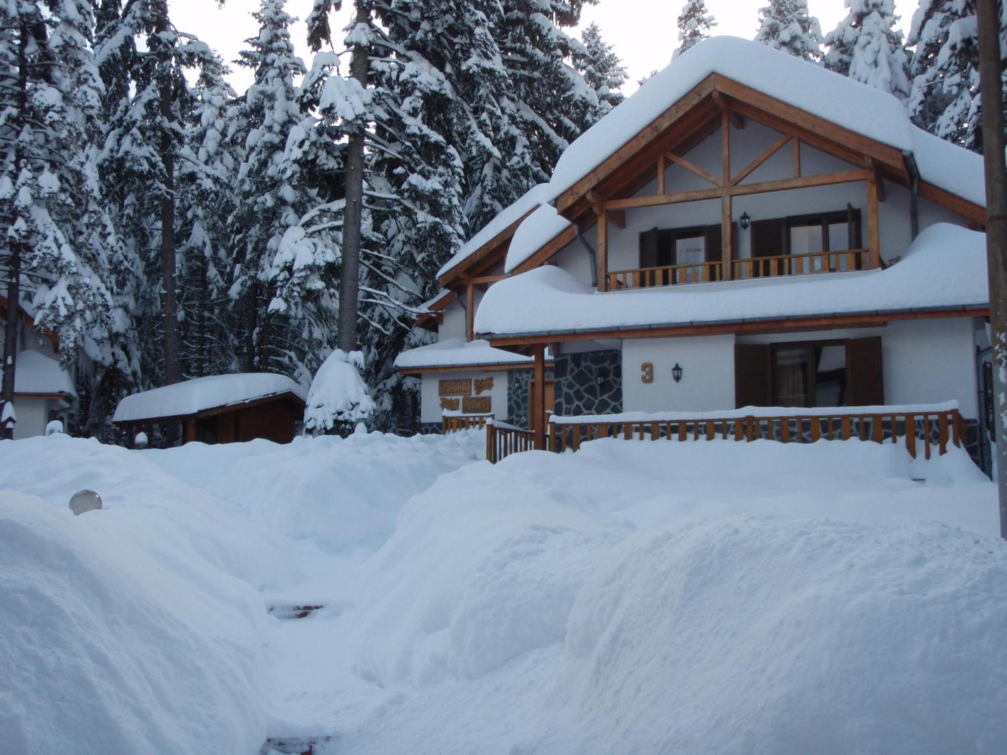 Saint George Holiday Village Borovets Dış mekan fotoğraf