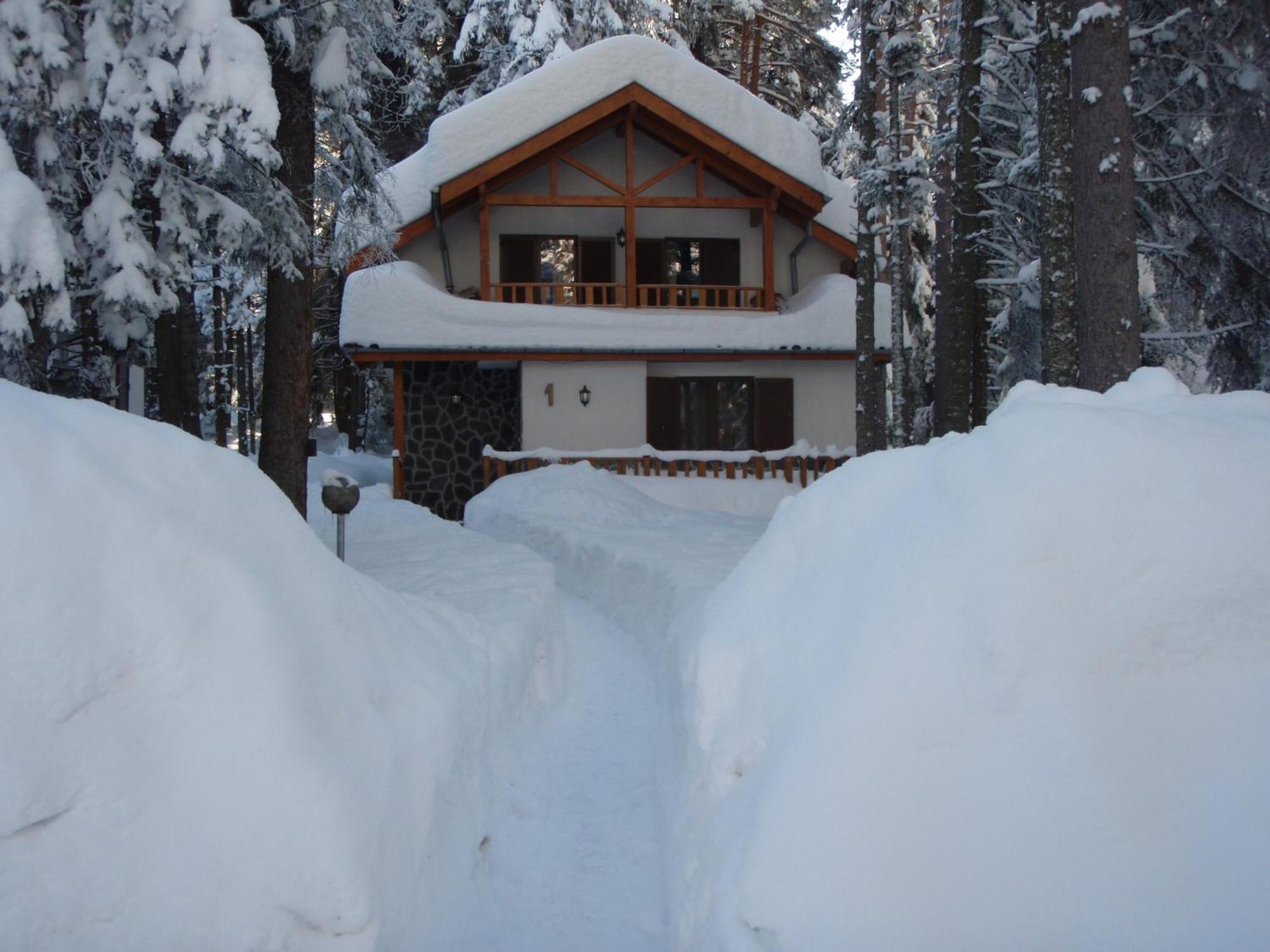 Saint George Holiday Village Borovets Dış mekan fotoğraf