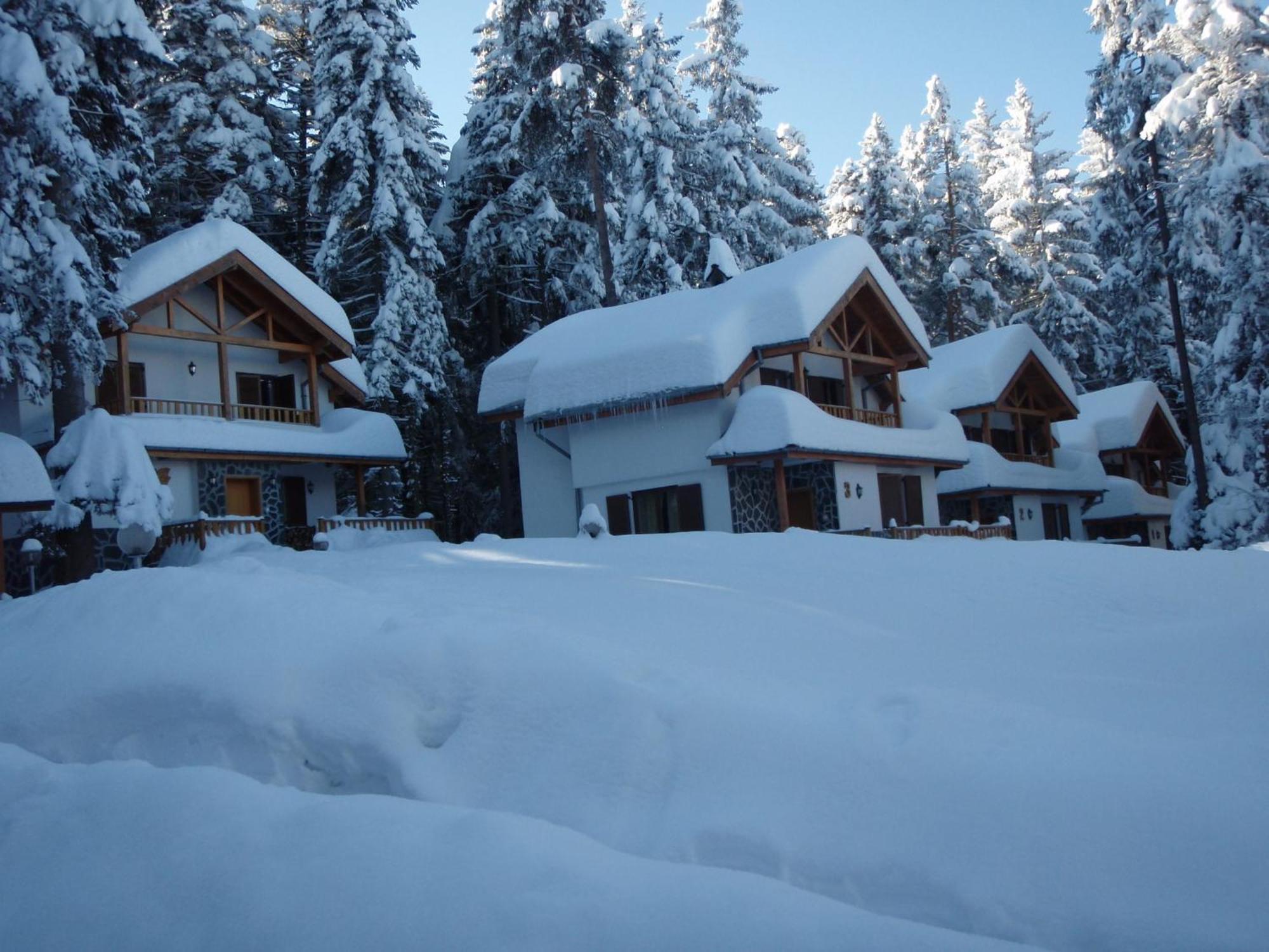 Saint George Holiday Village Borovets Dış mekan fotoğraf