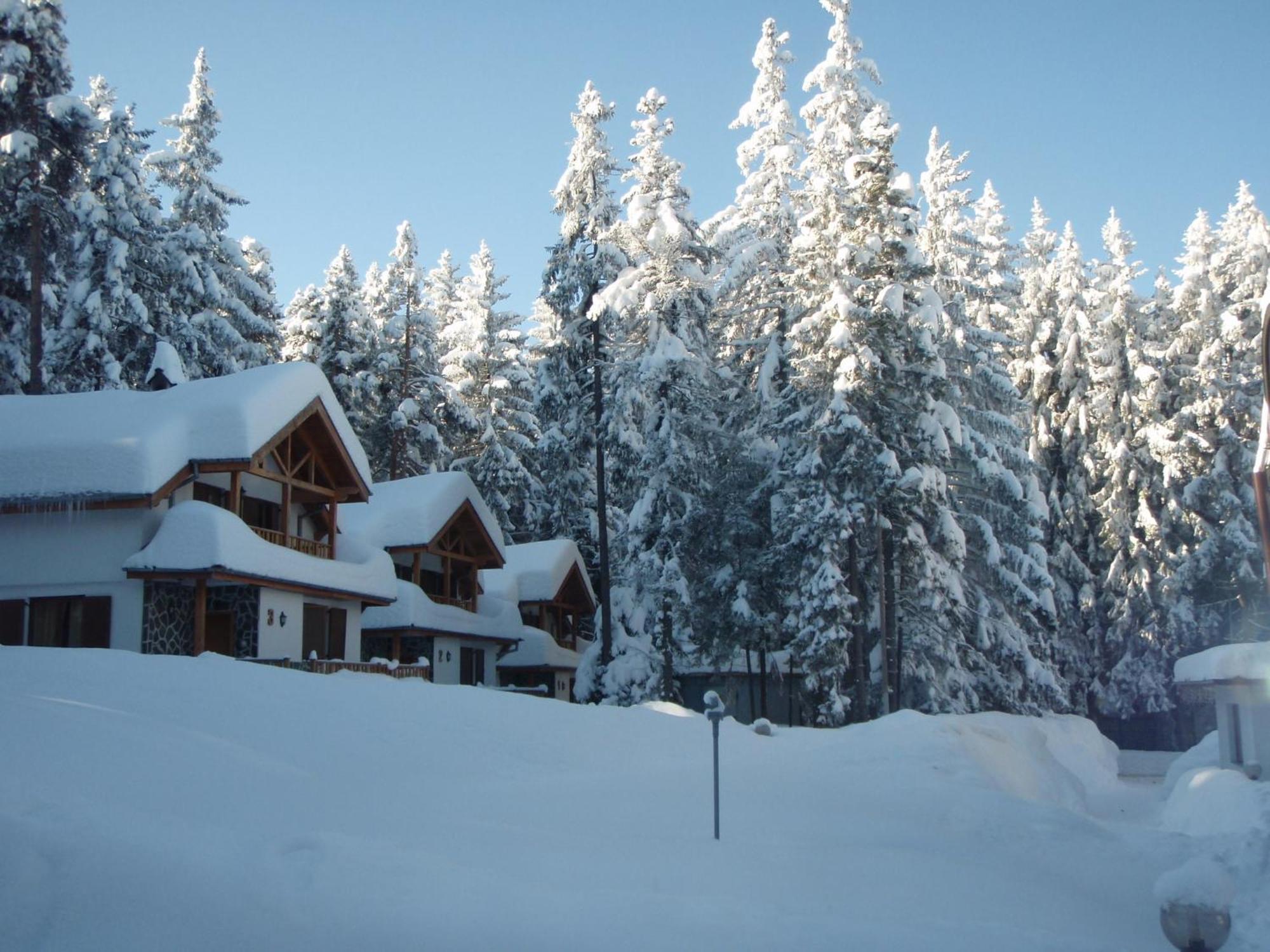 Saint George Holiday Village Borovets Dış mekan fotoğraf