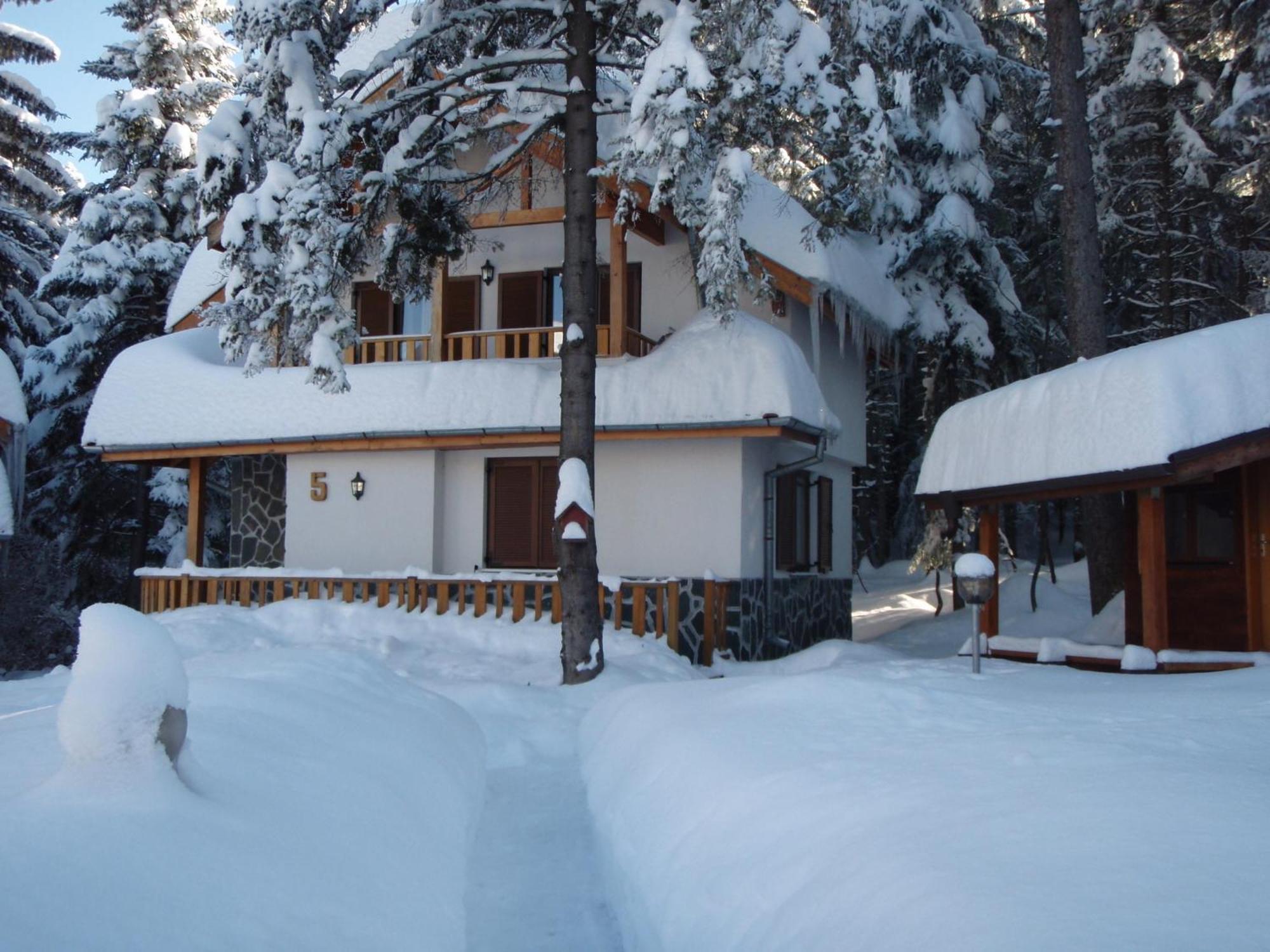 Saint George Holiday Village Borovets Dış mekan fotoğraf