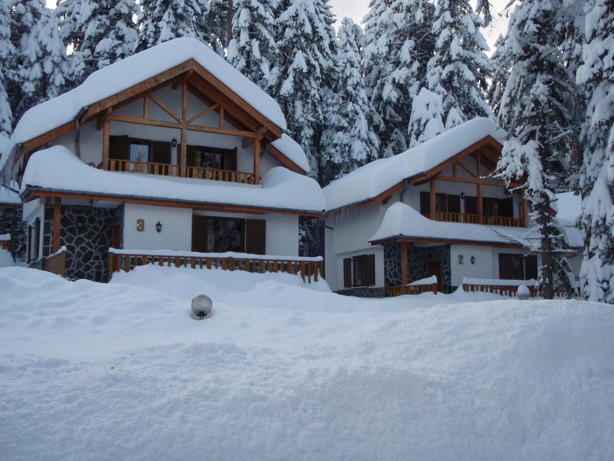 Saint George Holiday Village Borovets Dış mekan fotoğraf