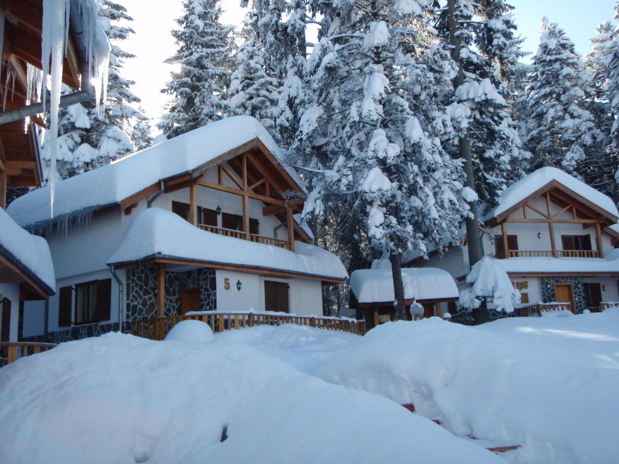 Saint George Holiday Village Borovets Dış mekan fotoğraf