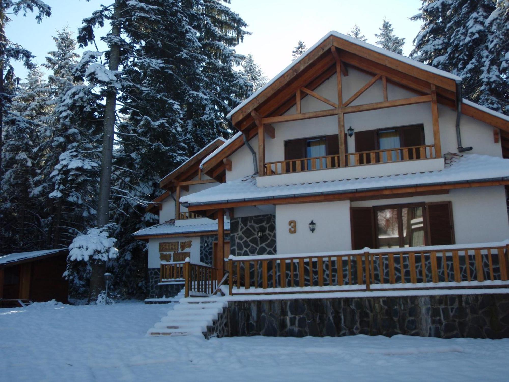 Saint George Holiday Village Borovets Dış mekan fotoğraf